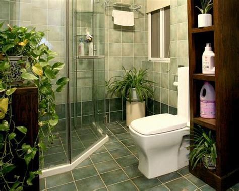 风水物 廁所擺放植物